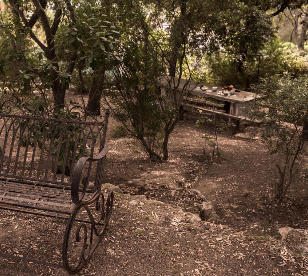 Nel Giardino Dei Pesci Volanti Villa ซานปันตาเลโอ ภายนอก รูปภาพ